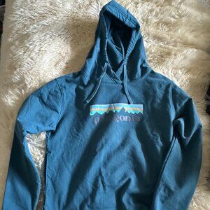 Patagonia hooded sweatshirt